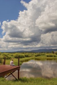 sitting on the dock Island park