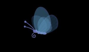 butterfly animation by Christie Bryant